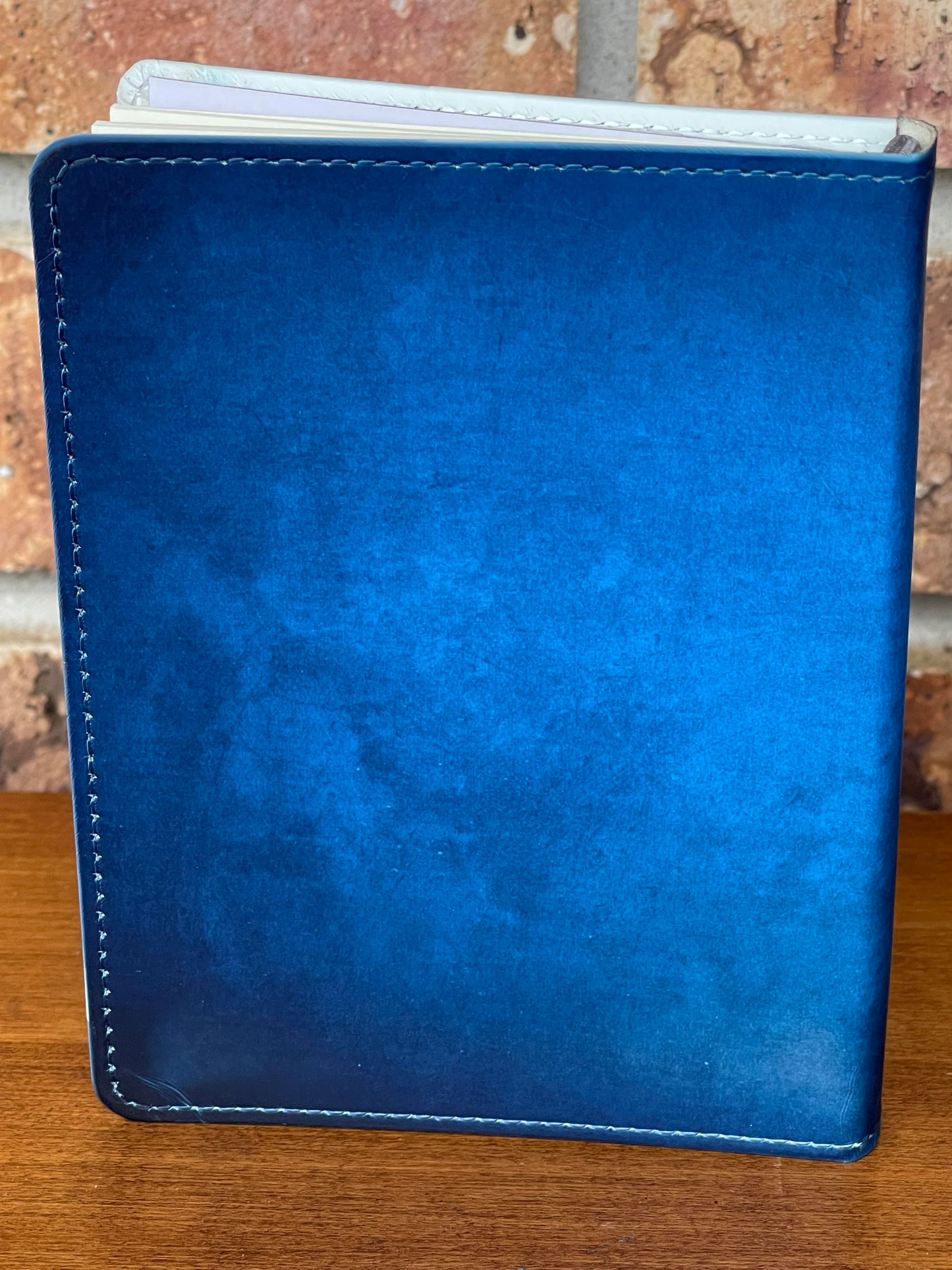 OWL NOTEBOOK/JOURNAL